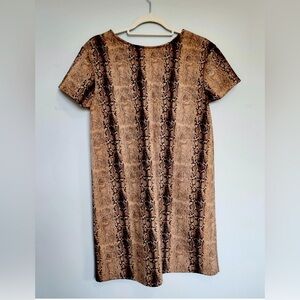 She & Sky, velvety soft, snake print, shift dress, small, NWOT